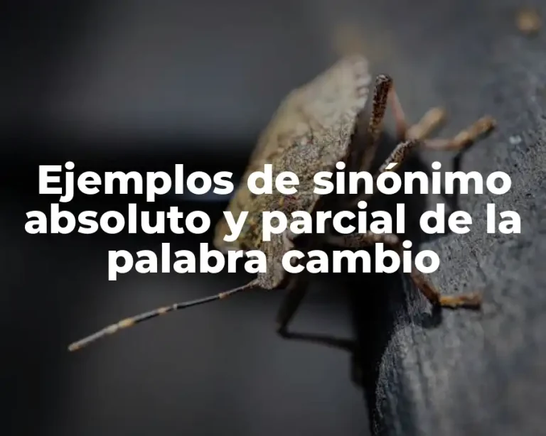 Ejemplos de sinónimo absoluto y parcial de la palabra cambio