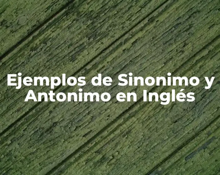 Ejemplos de Sinonimo y Antonimo en Inglés