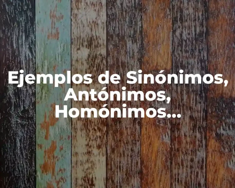 Ejemplos de Sinónimos, Antónimos, Homónimos, Parónimos, etc.