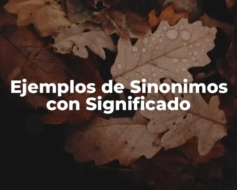 Ejemplos de Sinonimos con Significado