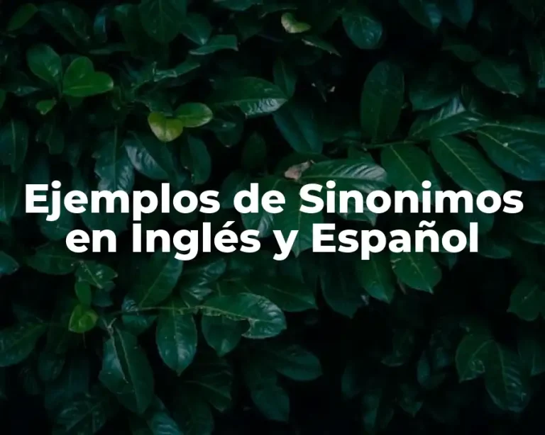 Ejemplos de Sinonimos en Inglés y Español