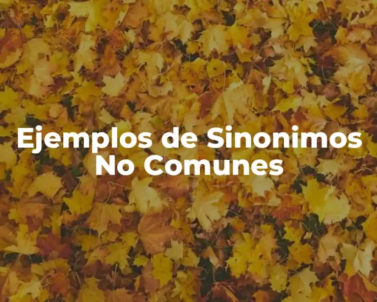 Ejemplos de Sinonimos No Comunes