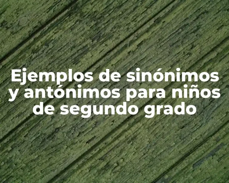 Ejemplos de sinónimos y antónimos para niños de segundo grado
