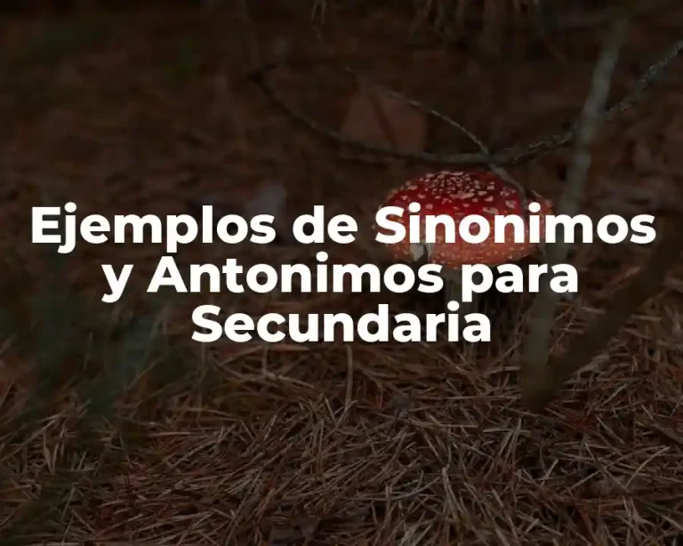 Ejemplos de Sinonimos y Antonimos para Secundaria