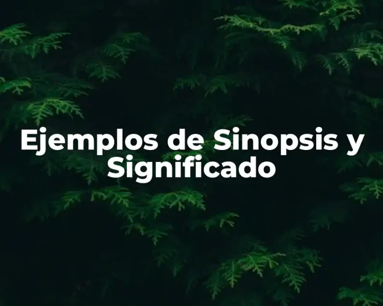 Ejemplos de Sinopsis y Significado