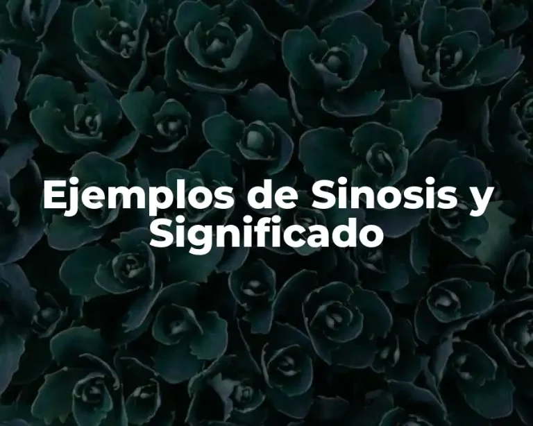 Ejemplos de Sinosis y Significado