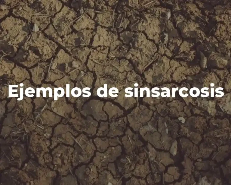 Ejemplos de sinsarcosis