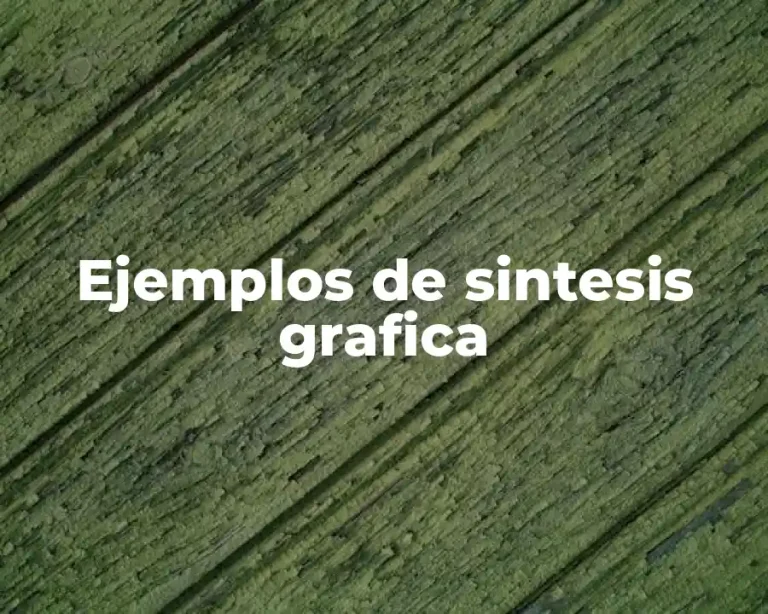 Ejemplos de sintesis grafica