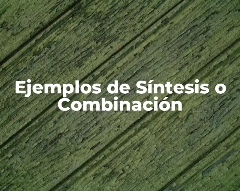 Ejemplos de Síntesis o Combinación