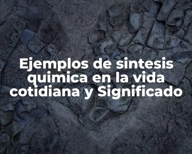Ejemplos de sintesis quimica en la vida cotidiana y Significado