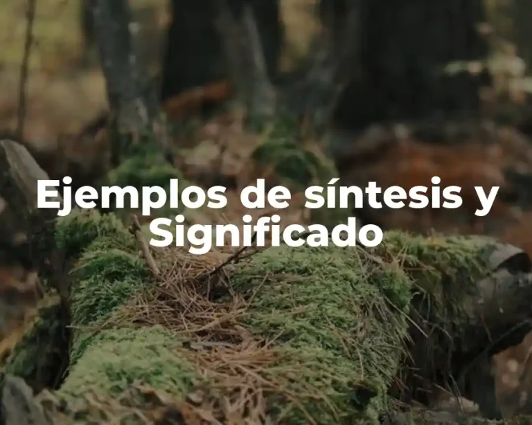 Ejemplos de síntesis y Significado