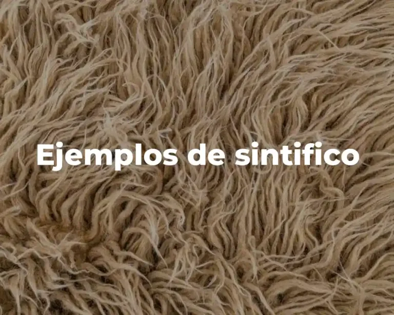 Ejemplos de sintifico