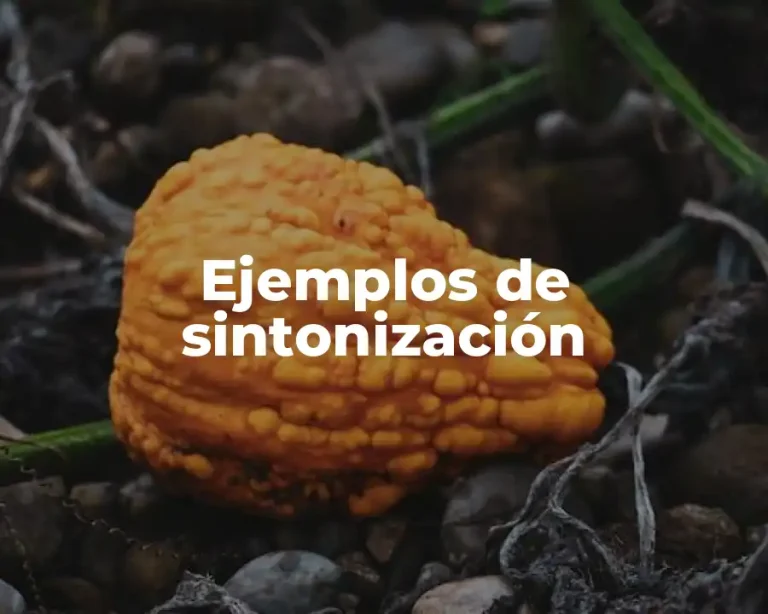 Ejemplos de sintonización