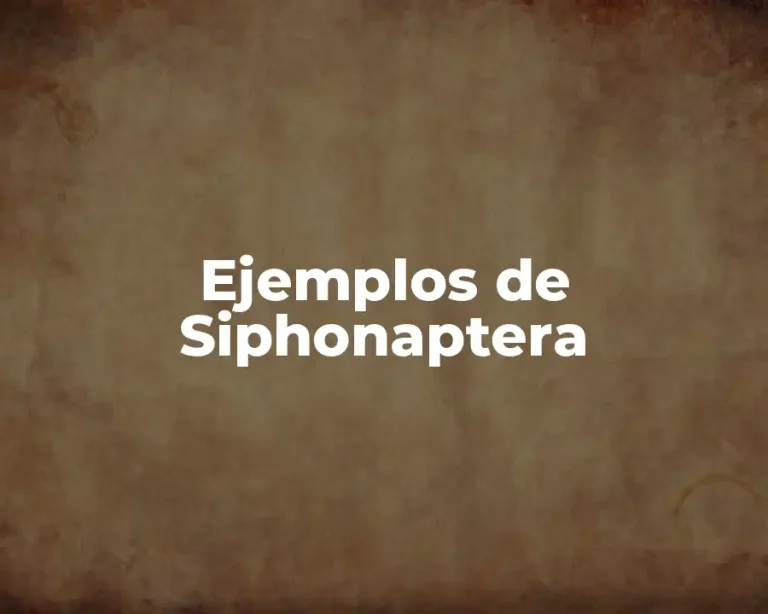 Ejemplos de Siphonaptera
