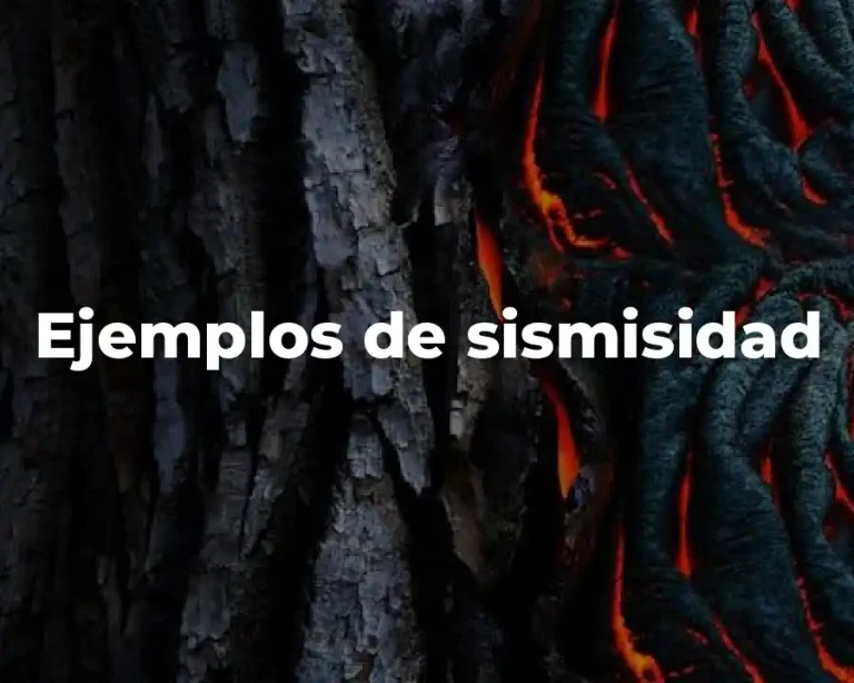 Ejemplos de sismisidad