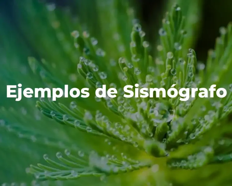 Ejemplos de Sismógrafo