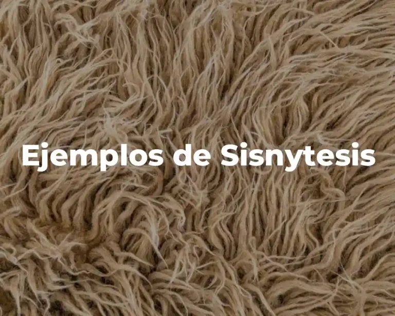 Ejemplos de Sisnytesis