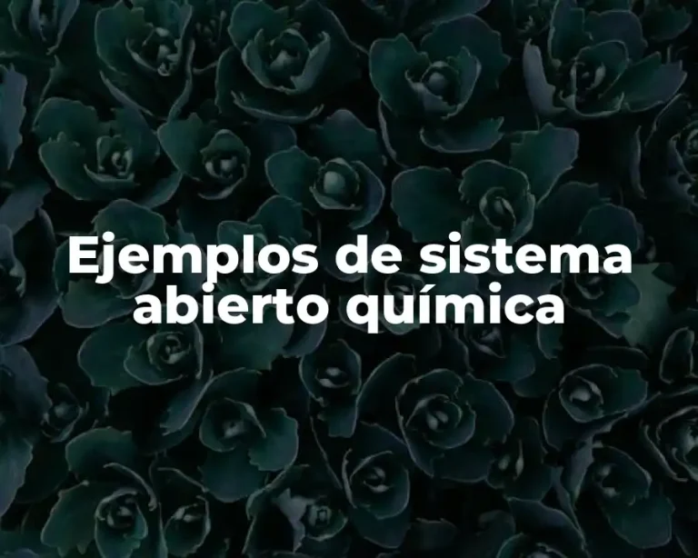 Ejemplos de sistema abierto química