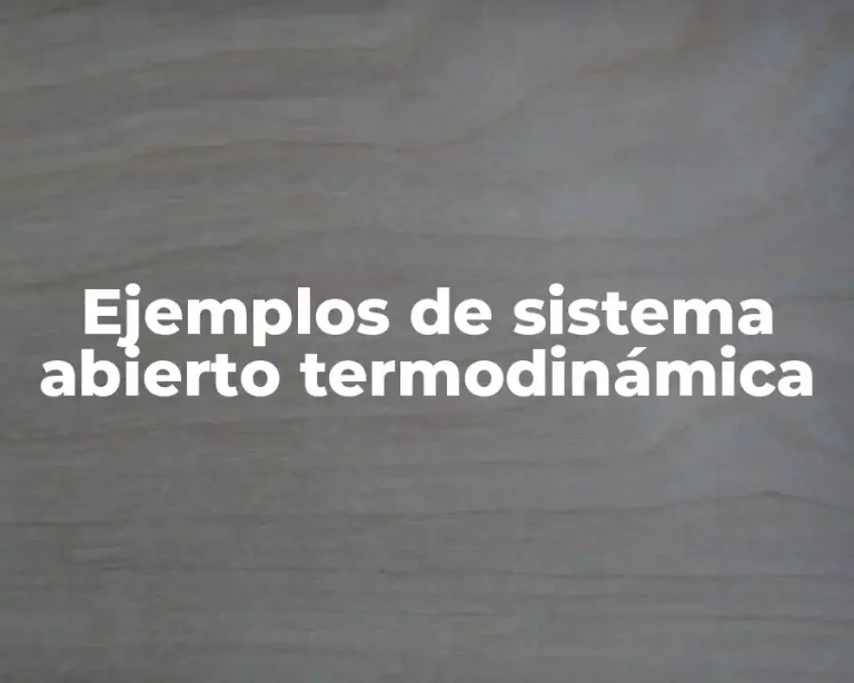 Ejemplos de sistema abierto termodinámica