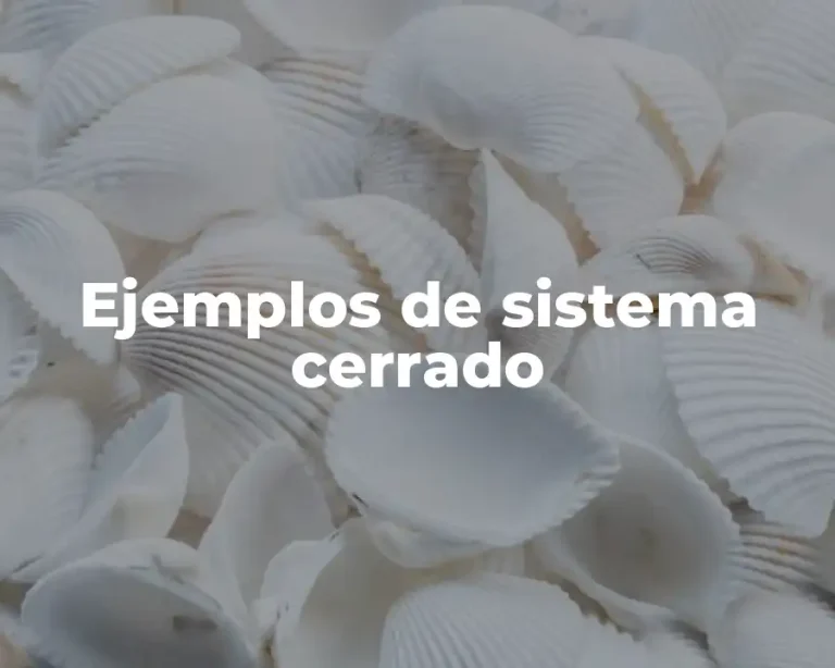 Ejemplos de sistema cerrado