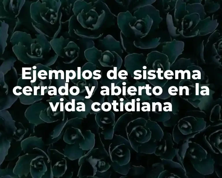 Ejemplos de sistema cerrado y abierto en la vida cotidiana