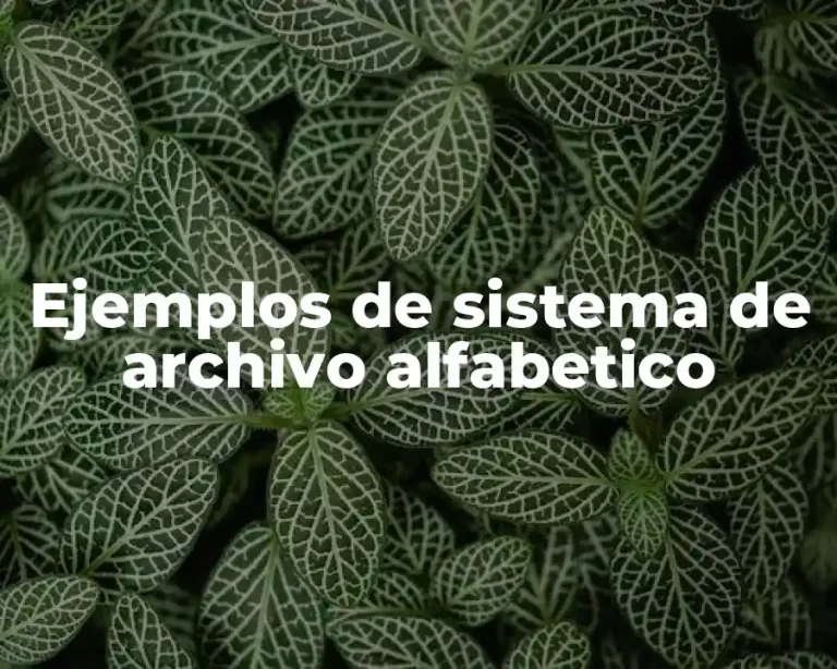 Ejemplos de sistema de archivo alfabetico