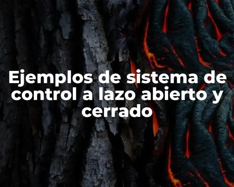 Ejemplos de sistema de control a lazo abierto y cerrado