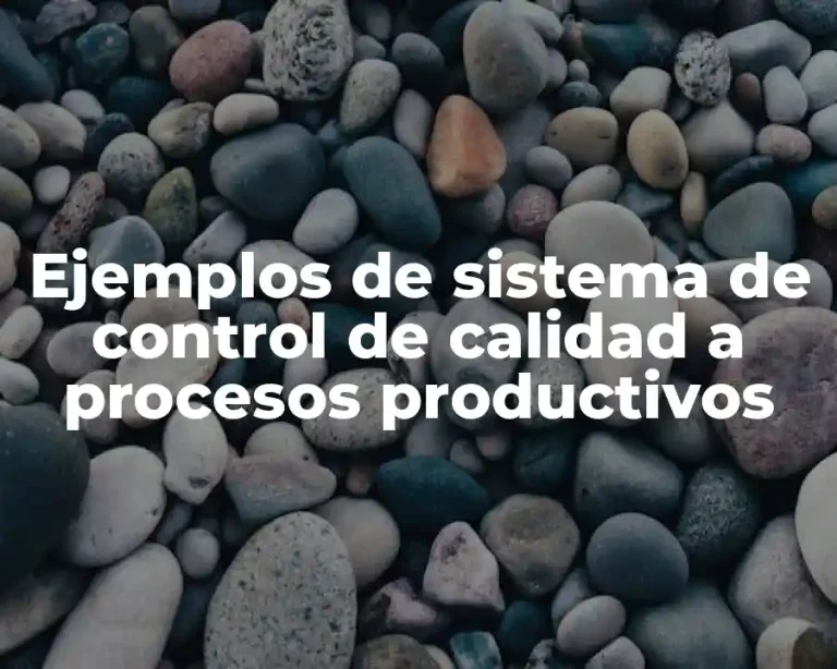 Ejemplos de sistema de control de calidad a procesos productivos