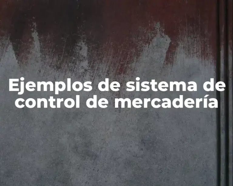 Ejemplos de sistema de control de mercadería