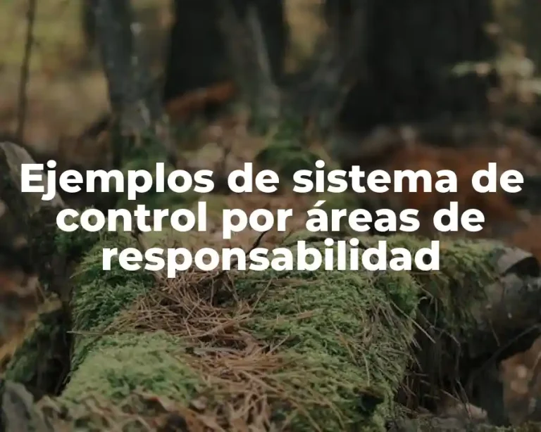 Ejemplos de sistema de control por áreas de responsabilidad