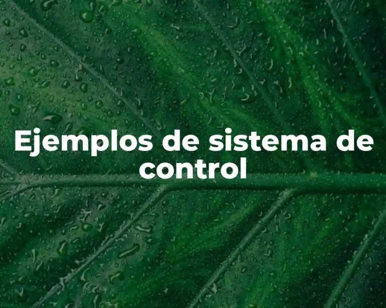 Ejemplos de sistema de control