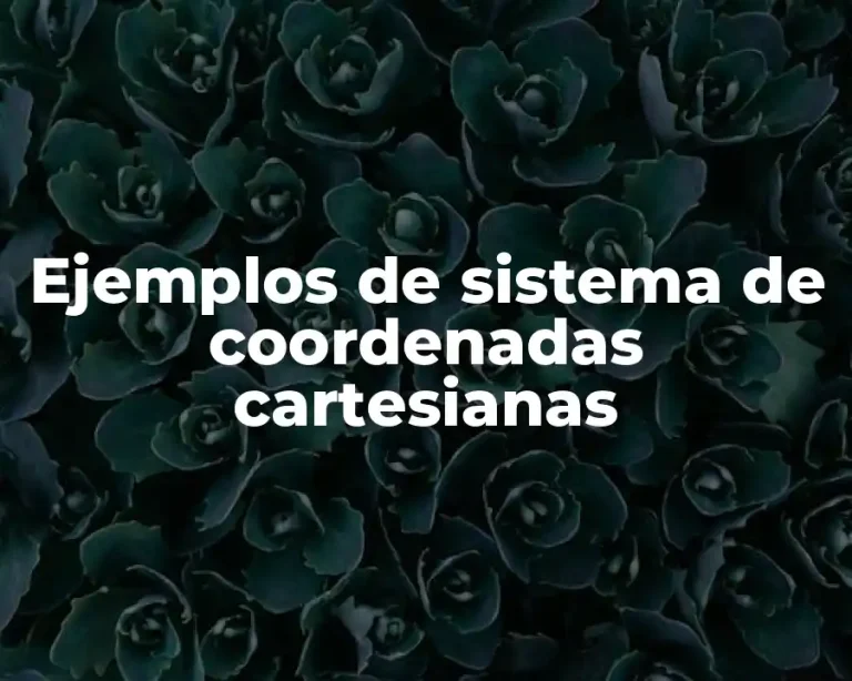 Ejemplos de sistema de coordenadas cartesianas