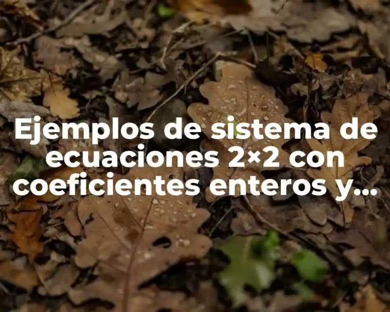 Ejemplos de sistema de ecuaciones 2×2 con coeficientes enteros y Significado