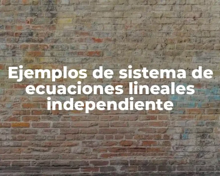 Ejemplos de sistema de ecuaciones lineales independiente