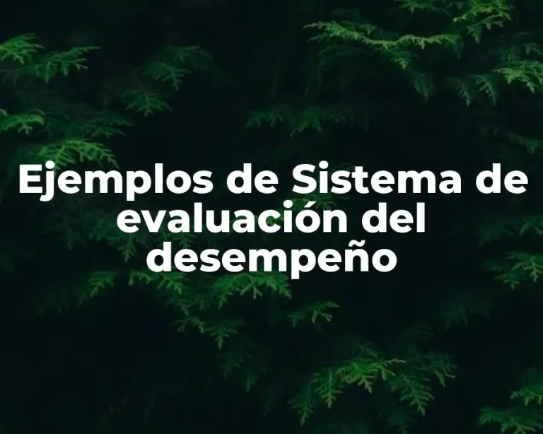 Ejemplos de Sistema de evaluación del desempeño