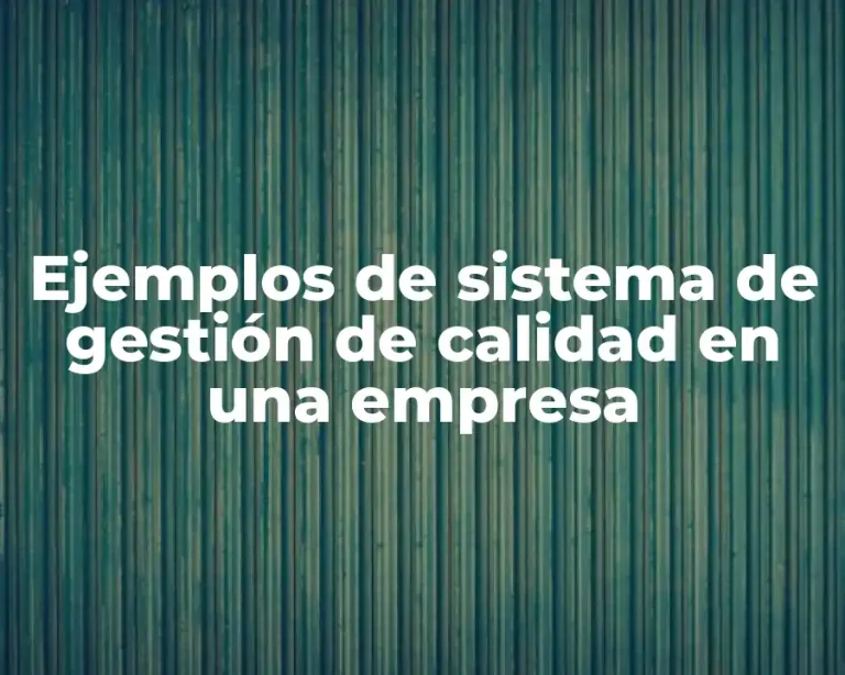 Ejemplos de sistema de gestión de calidad en una empresa