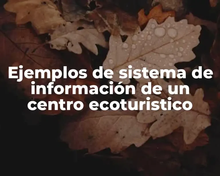 Ejemplos de sistema de información de un centro ecoturistico