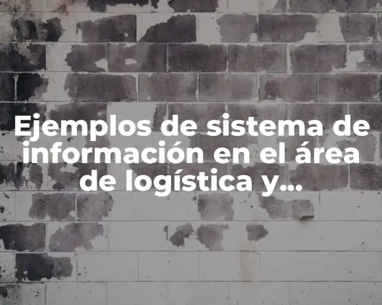 Ejemplos de sistema de información en el área de logística y Significado