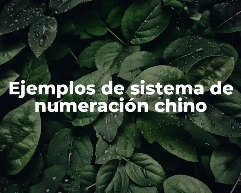 Ejemplos de sistema de numeración chino