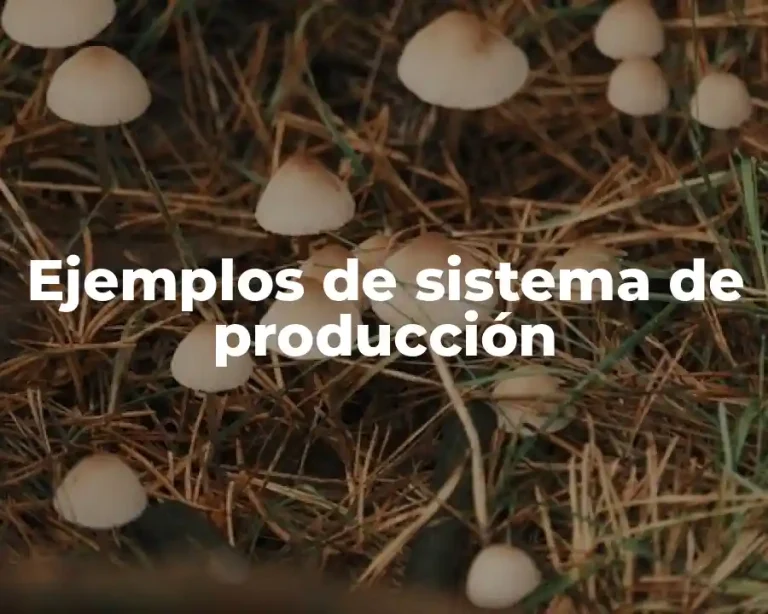 Ejemplos de sistema de producción