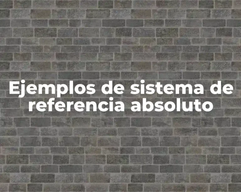 Ejemplos de sistema de referencia absoluto