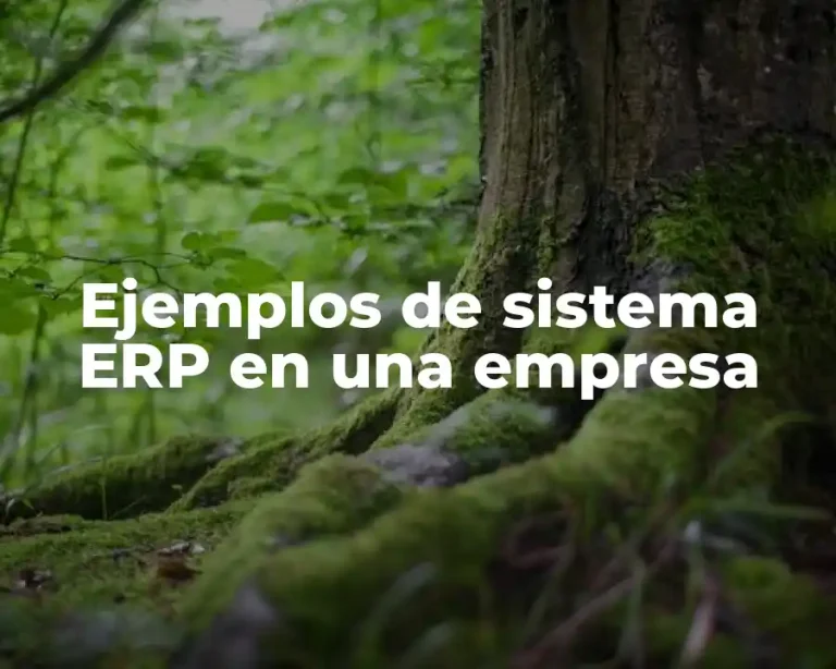 Ejemplos de sistema ERP en una empresa