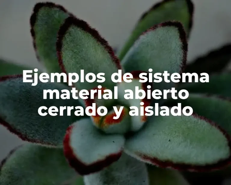 Ejemplos de sistema material abierto cerrado y aislado