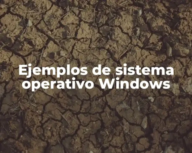 Ejemplos de sistema operativo Windows