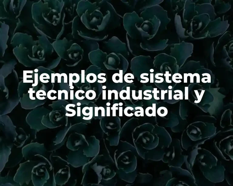Ejemplos de sistema tecnico industrial y Significado