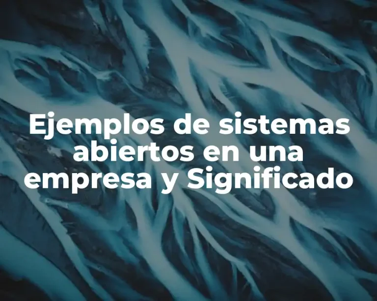 Ejemplos de sistemas abiertos en una empresa y Significado