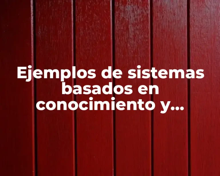 Ejemplos de sistemas basados en conocimiento y Significado