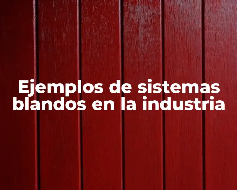 Ejemplos de sistemas blandos en la industria