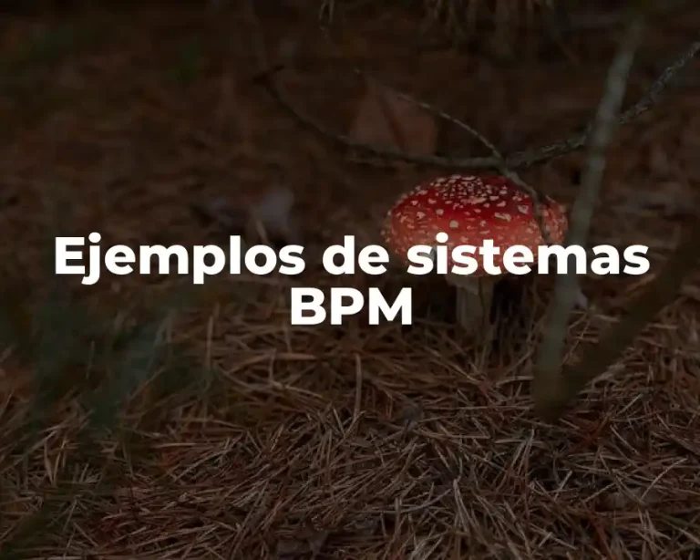 Ejemplos de sistemas BPM