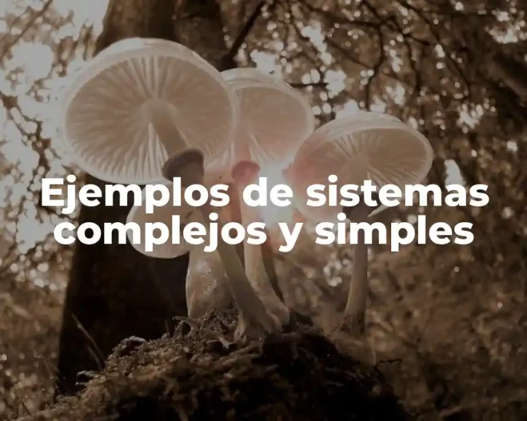 Ejemplos de sistemas complejos y simples